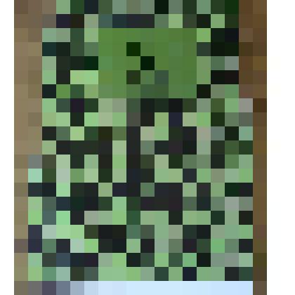 книга "От Челкара до НИКОРа"