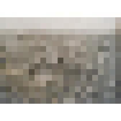 Первый комсомольский поход г. Козлова