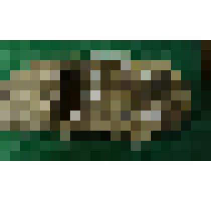 Лапоть правый