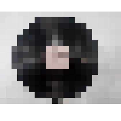 Грампластинка долгоиграющая, двухсторонняя "Гармонь Певучая", "Еду, еду на комбайне"