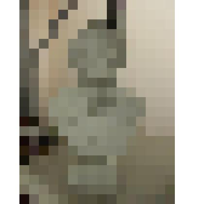 Портрет А. Ф. Писемского