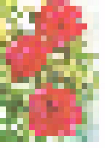 Документ. Телеграмма Шаповаловых Эрвье Юрию Георгиевичу с 75-летием. г. Тюмень. 1984 г