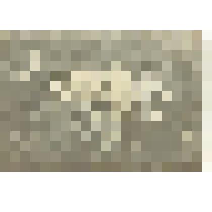 Фото групповое: «Эмилия Бир (Кинцель) с подругами на Волге»