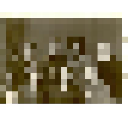 Фотография. Коллектив магазина №31 г.Камня-на-Оби