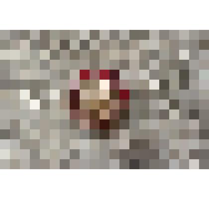 Значок: ХХVI съезд КПСС