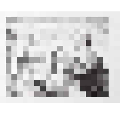 «Цветы». Из серии «Колхозный рынок»