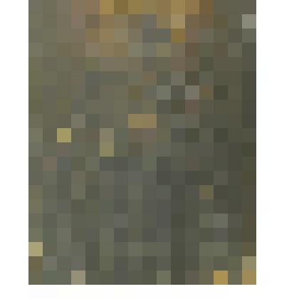 Иннокентий Иркутский, Мария Египетская и Афанасий Афонский. Икона