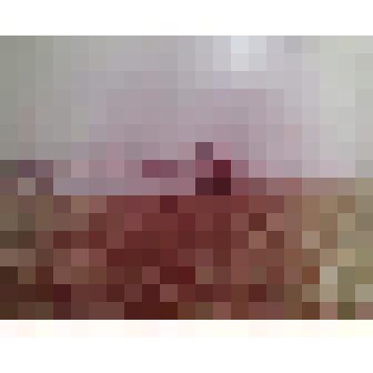 Фото. Полив озимых культур дождевальной машиной "Фрегат"