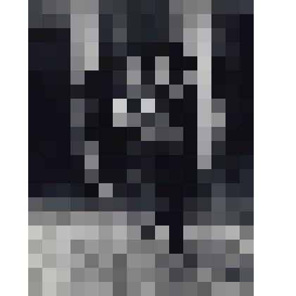 Фото ч/б. Танцы награждение