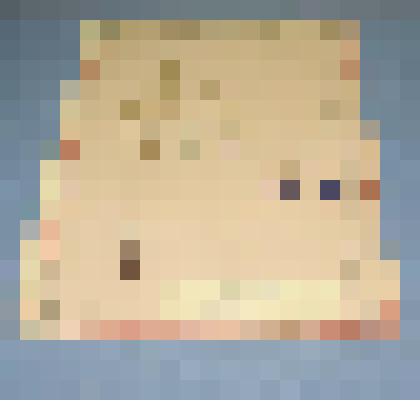 Ботаническая коллекция. Живокость крупноцветная, на гербарном листе, село  Каратуз, восточный склон горы. Ranunculaceae  Delfinium  grandiflorum L