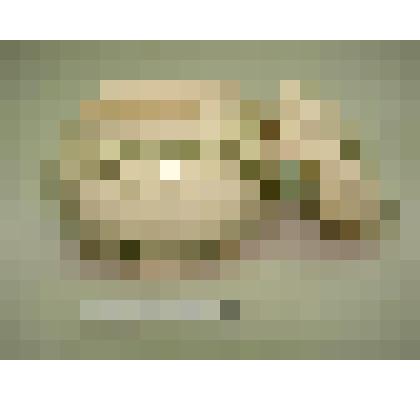 Баночка из-под крема для бритья парфюмерной фирмы "Roget et Gallet"