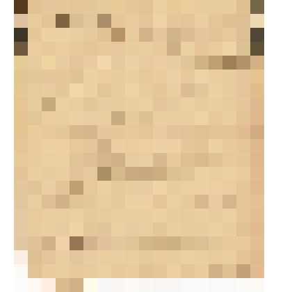 Телеграмма в Чердынь В.О.Алину от Коровякова из Казани, 24.02.1904 г