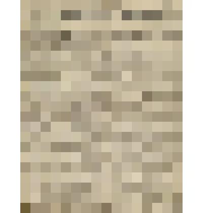 Газета. Русское знамя. № 250 (2 л.;)