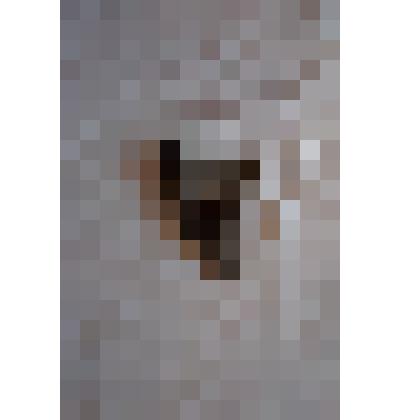 Кобура пистолета "Вальтер"