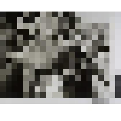 Анна Гагарина