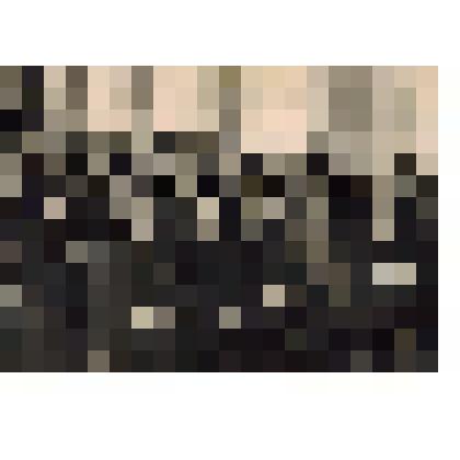 Фото групповое Совещание председателей сельских Советов