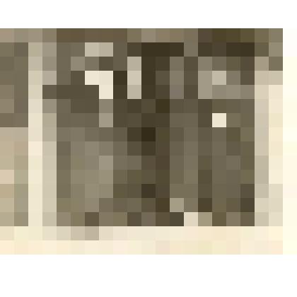 Фотография. Фотография семейная. Супруги Толяровские и Ламбины