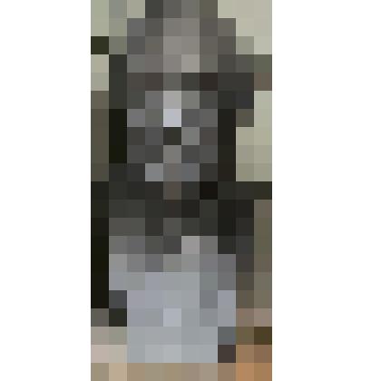 Портрет академика Стечкина