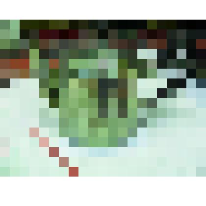 Чайник заварочный