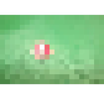 Знак "Ленина"