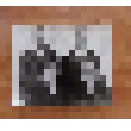 Фотография: чабаны совхоза "Октябрь" Чапаевского отделения Каменского района Алтайского края