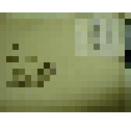 Гербарий. Мелкоцветник прямой, гербария М.И.Губельмана