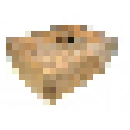 Форма для сливочного масла