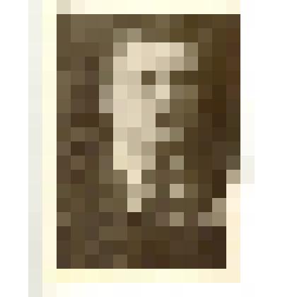 Фотография. Ипатов Михаил Александрович, разведчик, расстрелян в 1919 году за связь с красными партизанами. Копия