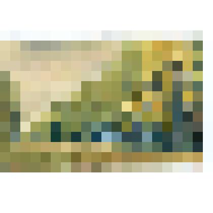 Этюд. Дорога Стромынка перед деревней Алабухино