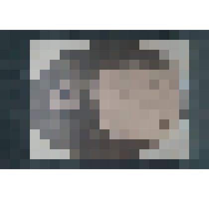 Фотокопия "Милицина Е.М."