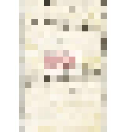 Письмо Д. Л. Клеменца Мартьянову с благодарностью за письмо и семейные фотографии, о своём здоровье, о Нижегородской выставке, о подготовке китайских коллекций письменных принадлежностей и тканей для Минусинского музея