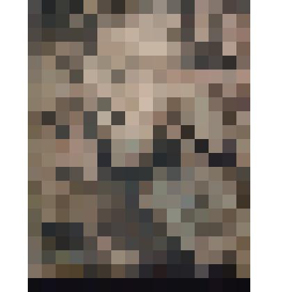 ТХХ - Акт. Фотография