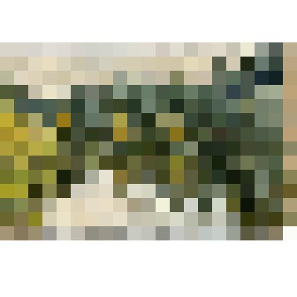 Этюд. Станция Санино