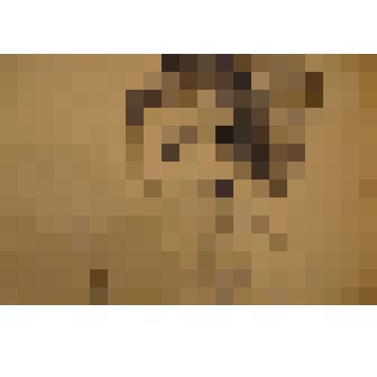 "Набросок". Графика