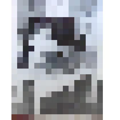 Фотография. Девочка и лев