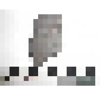 Археология. Фрагмент венчика сосуда, темно-серого цвета, верхний край скошен слегка наружу,  орнаментитован пояском жемчужин