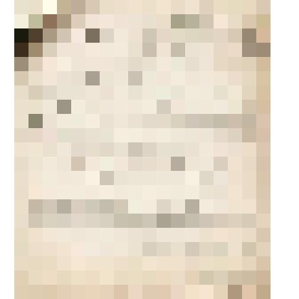 Телеграмма № 328 в г. Чердынь В.Н.Алину от Дуняшева из г. Усолья, 17.09.1906 г