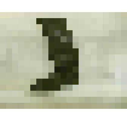 Сапог мужской (левый)