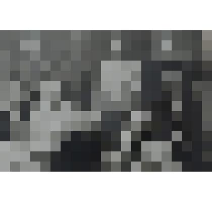 Фото. Участники гражданской войны