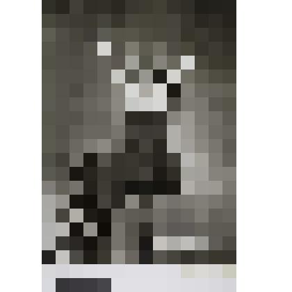 София Ротару