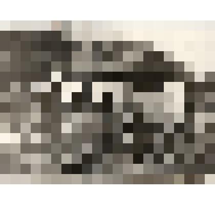 Фотокопия.  Хата Семена Шипитько