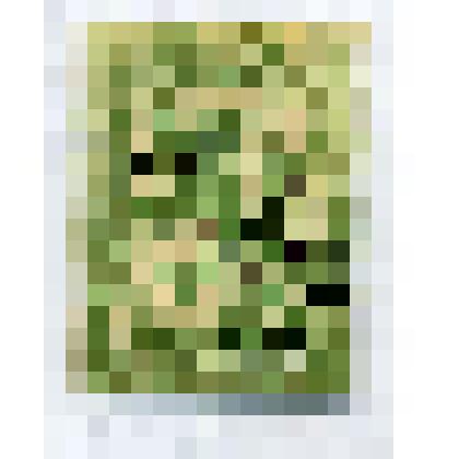 Марка почтовая. Герб Финляндии. 10 пенни