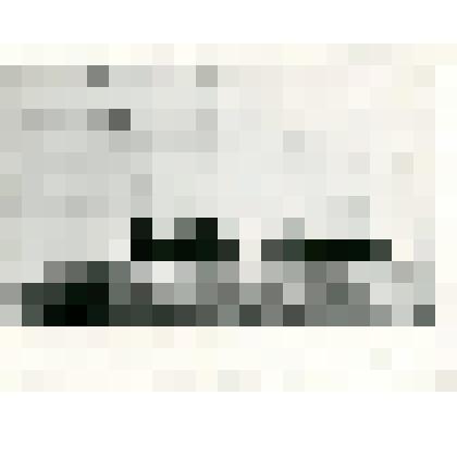 Фотокопия. Открытие необитаемого полуострова, названного «Новой землей» и водружение русского государственного флага экспедицией ледокола «Таймыр» 1913 г