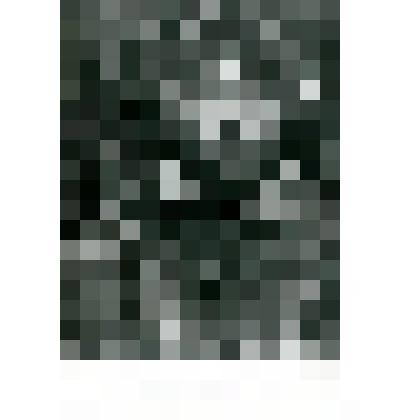 Фотокопия. В.А. Горохов- проводник Русской Полярной экспедиции