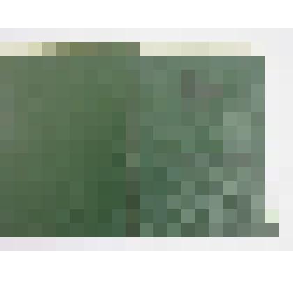 Удостоверение тракториста – машиниста 2 класса Лушникова Калистрата Мироновича