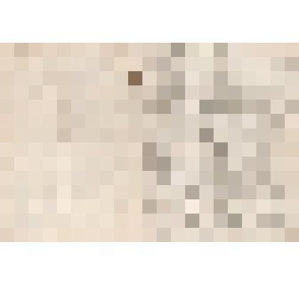 Письмо родителям от Лагуткина Геннадия Сергеевича