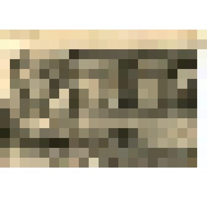 Фотография: Здание библиотеки им. И.С. Никитина после  немецко-фашистской оккупации. г. Воронеж. Фото Н.С. Варламова