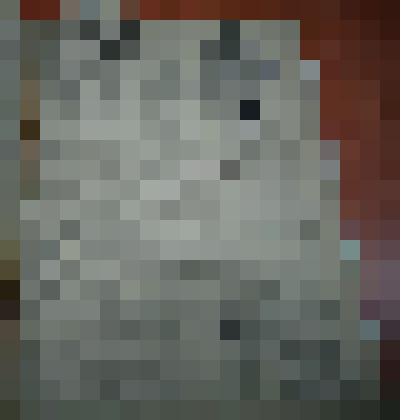 Газета. Вперёд