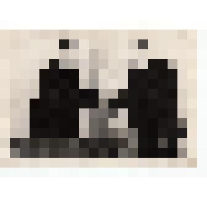 Ф/чб. Козобродов А.Ф. вручает почетную грамоту Брагазину М.А. Энгельсский РК КПСС. 1960-е