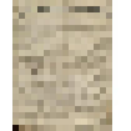 Газета. Русское знамя. № 244 (2 л.;)